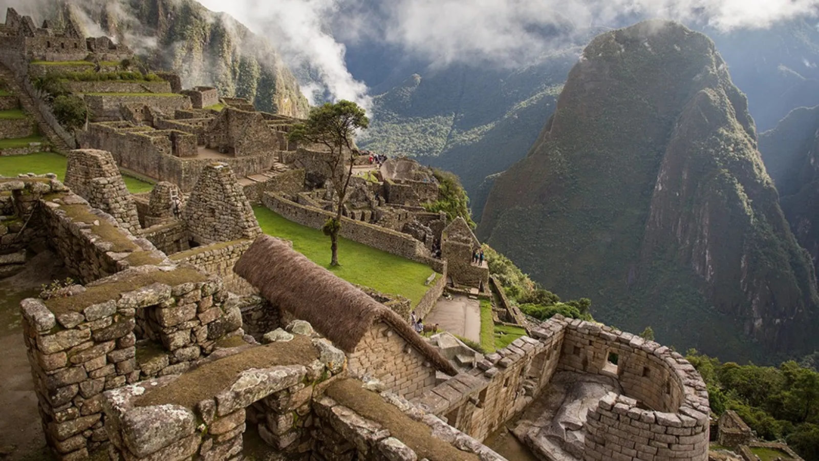 92491
